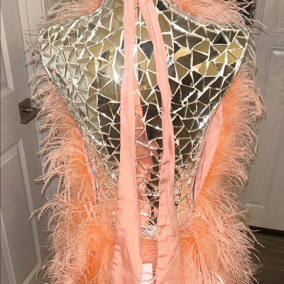SAFFIYYAH PAUL Ostrich Feather Peach High Neck Open Back Mini Dress M/L - Picture 9 of 16